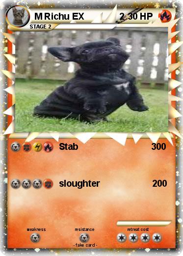 Pokemon M Richu EX              2