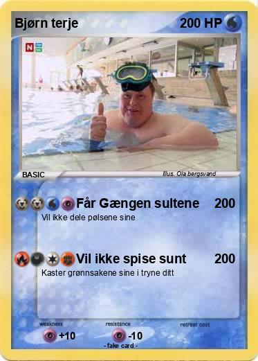 Pokemon Bjørn terje