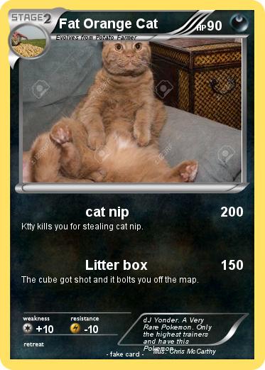 Pokemon Fat Orange Cat
