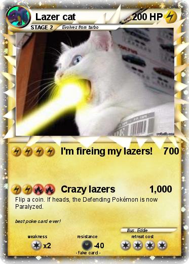 Pokemon Lazer cat