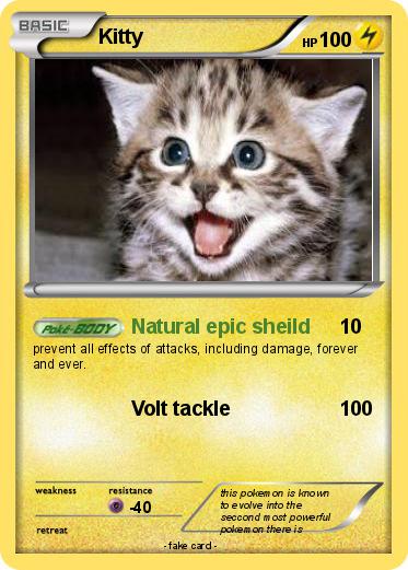 Pokemon Kitty