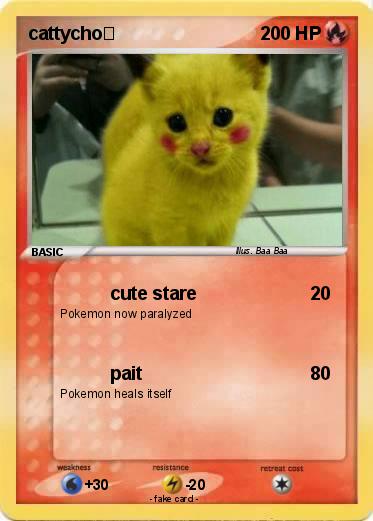 Pokemon cattycho