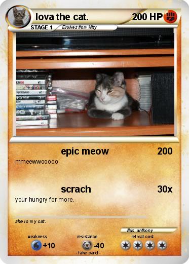 Pokemon lova the cat.