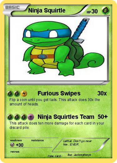 Pokemon Ninja Squirtle