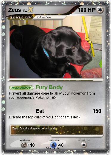 Pokemon Zeus