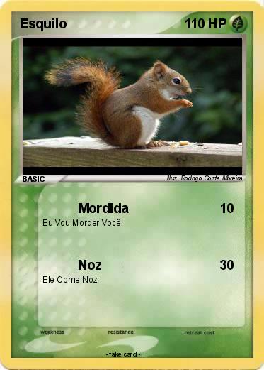 Pokemon Esquilo