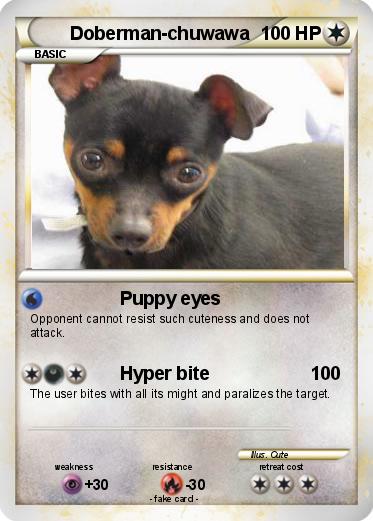 Pokemon Doberman-chuwawa