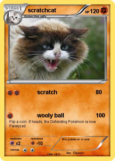 Pokemon scratchcat
