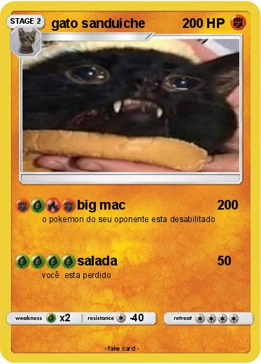 Pokemon gato sanduiche