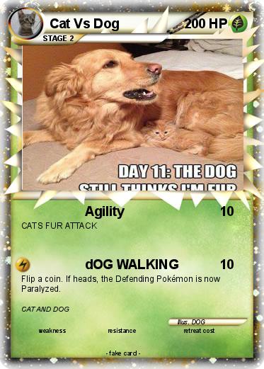 Pokemon Cat Vs Dog