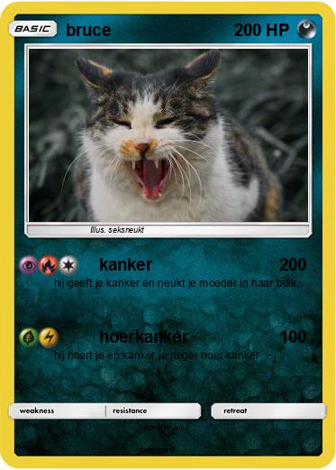 Pokemon bruce