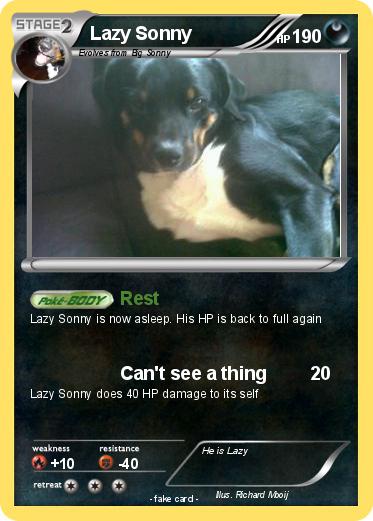Pokemon Lazy Sonny