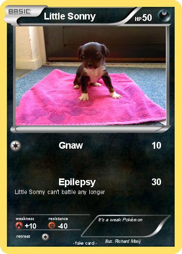 Pokemon Little Sonny