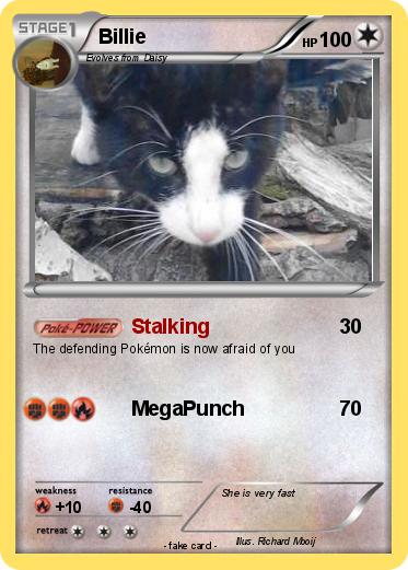 Pokemon Billie