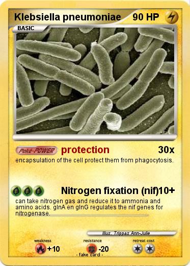 Pokemon Klebsiella pneumoniae