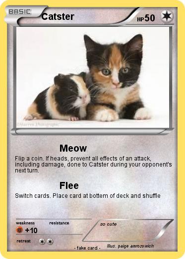Pokemon Catster