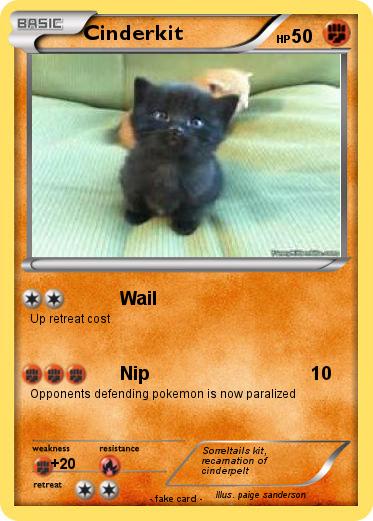 Pokemon Cinderkit