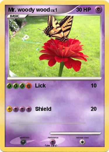 Pokemon Mr. woody wood