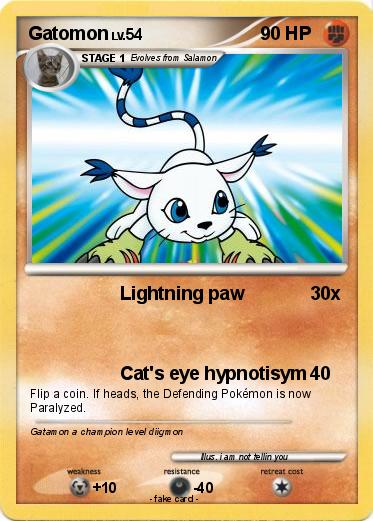 Pokemon Gatomon