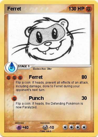 Pokemon Ferret