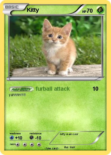 Pokemon Kitty