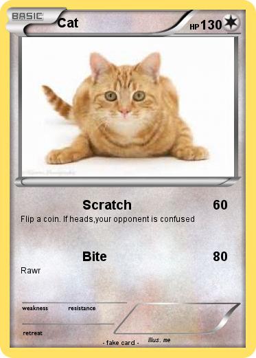 Pokemon Cat