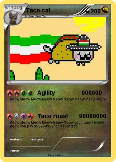 Pokemon Taco cat