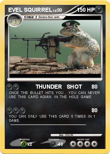 Pokemon EVEL SQUIRREL