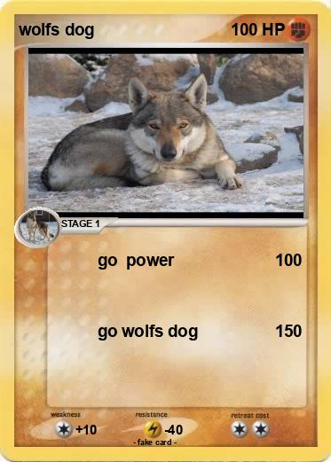 Pokemon wolfs dog