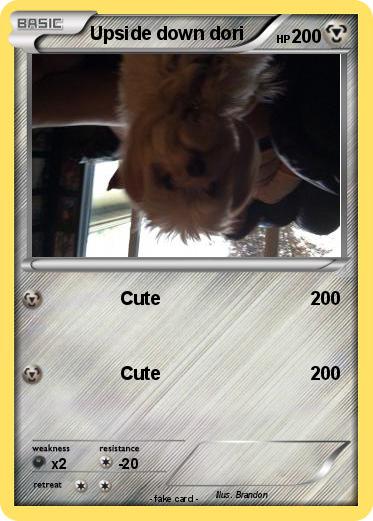 Pokemon Upside down dori