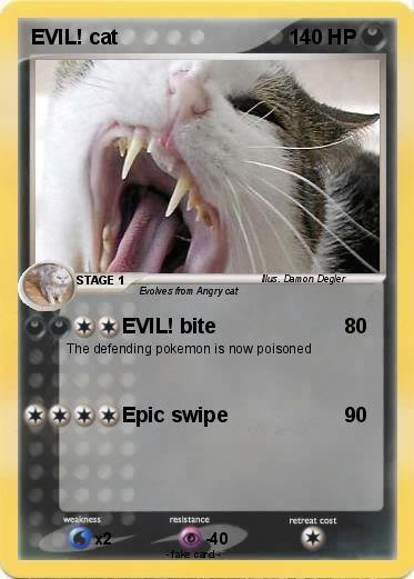 Pokemon EVIL! cat
