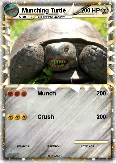 Pokemon Munching Turtle