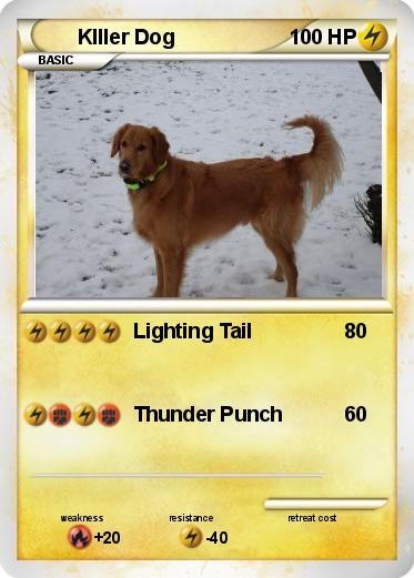 Pokemon KIller Dog