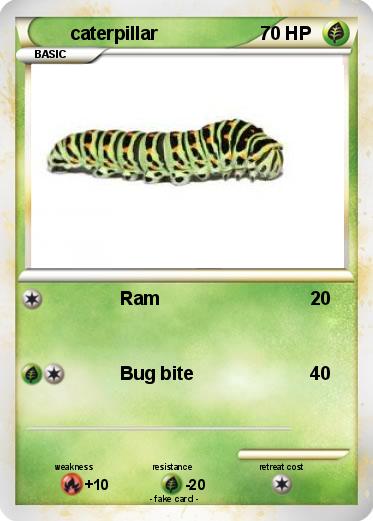 Pokemon caterpillar