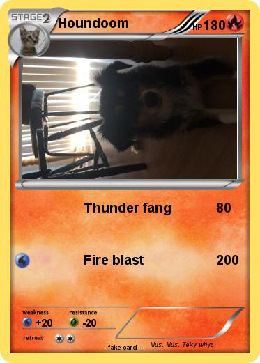 Pokemon Houndoom