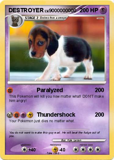 Pokemon DESTROYER