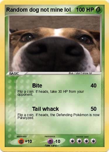 Pokemon Random dog not mine lol