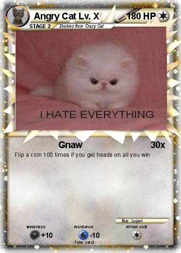 Pokemon Angry Cat Lv. X
