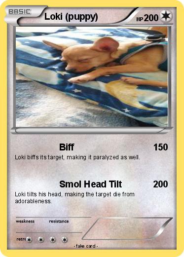 Pokemon Loki (puppy)