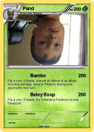 Pokemon Pand
