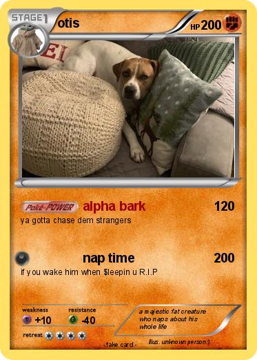 Pokemon otis
