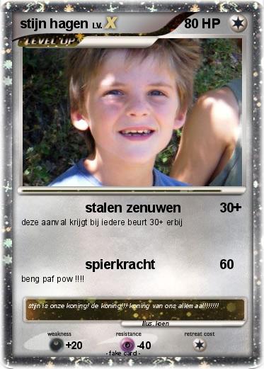Pokemon stijn hagen