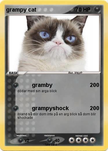 Pokemon grampy cat