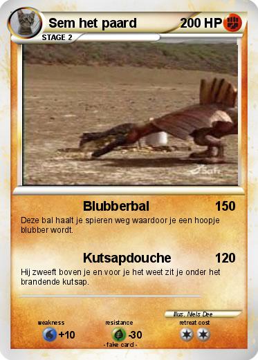 Pokemon Sem het paard