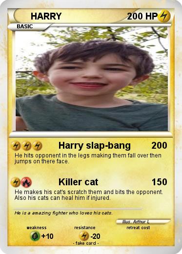 Pokemon HARRY