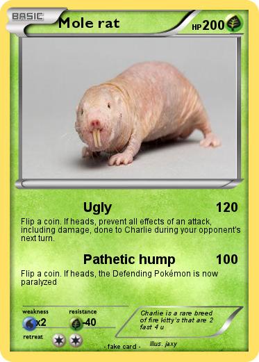 Pokemon Mole rat
