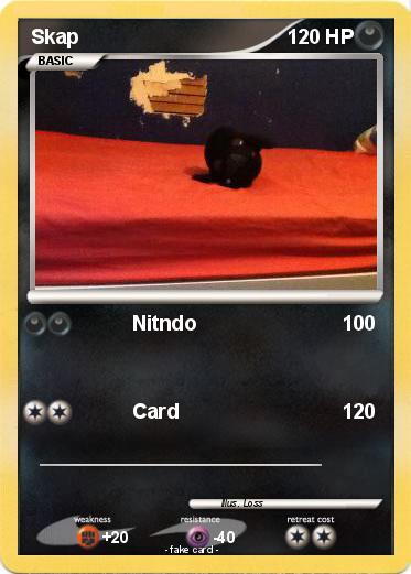 Pokemon Skap