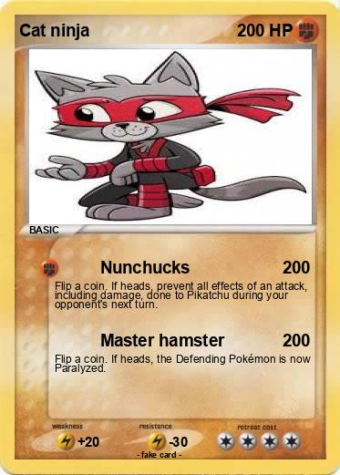 Pokemon Cat ninja