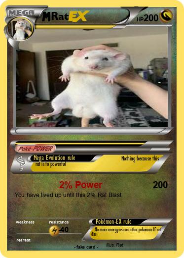 Pokemon Rat