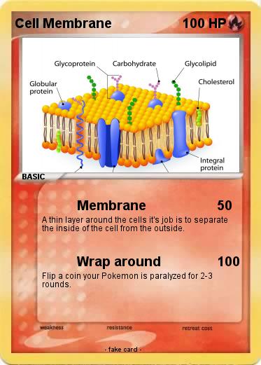 Pokemon Cell Membrane